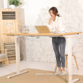 Ergonomic Office Furniture 2 Motors Table Height Adjustable Electric Standing Desk For Custom